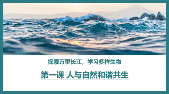 米乐m6生态保护警钟再次敲响环保科普可以做些什么？