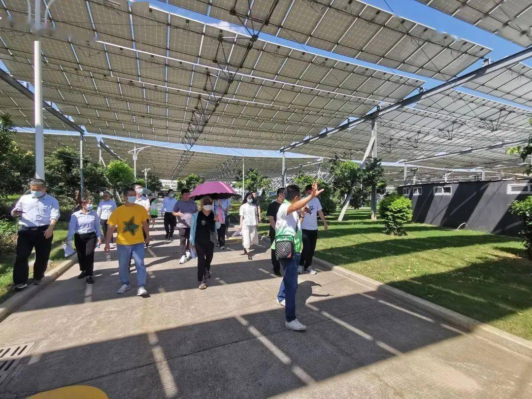 环保设施向公众开放 走进石狮市中心区城市污水处理厂米乐m6