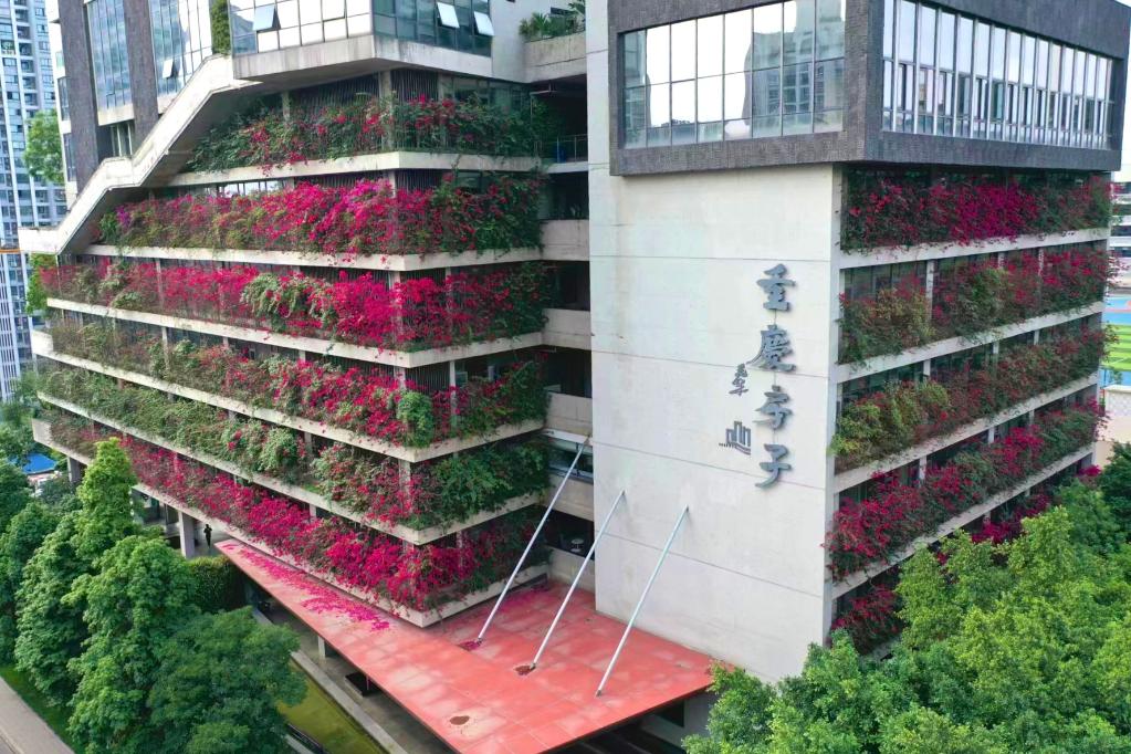 更环保的城市、更绿色的产业、更低碳的生活——多地推动减碳实践观察米乐m6