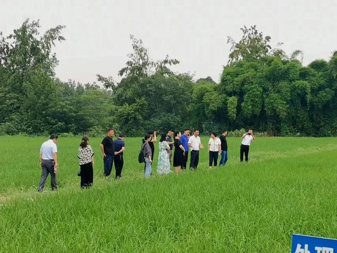 米乐m6【环保动态】县政协调研大邑土壤污染防治与固体废弃物处置情况