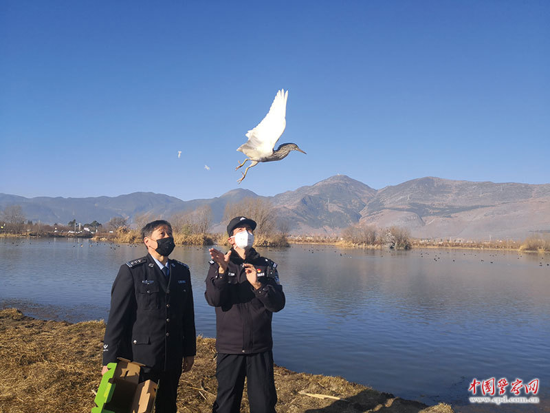 云南大理米乐m6：让“有风的地方”山更青、水更绿